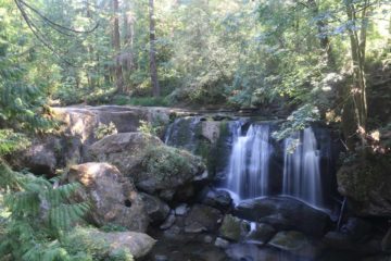 Whatcom Falls was kind of our excuse to break up the drive between Seattle and Vancouver as it was on the way.  While the word 