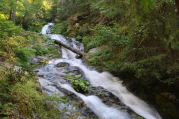 Whiskeytown_Falls_085_06182016