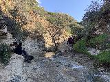 Whitney_Canyon_Falls_013_iPhone_02122023 - Julie and Tahia approaching the first waterfall obstacle with a woman looking on (who wasn't going to have any part of the upcoming scramble)
