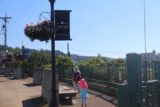 Willamette_Falls_006_07282017 - This little park area unfortunately lacked any good views of Willamette Falls