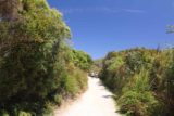 Wilsons_Promontory_019_11222017 - On the short track leading down to the Squeaky Beach in the Wilson's Promontory