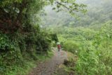Xinliao_Waterfall_024_11012016 - Following the bush-clad trail on wood chips in the rain towards the Xinliao Waterfall