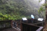 Xinliao_Waterfall_082_11022016 - Mom checking out the Xinliao Waterfall from the lookout platform in the rain