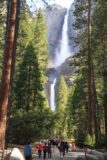 Yosemite_Valley_048_06032011 - The crowded walkway at Yosemite Falls