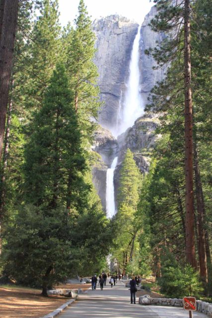 Yosemite Falls is another one of the waterfalls to see in a Yosemite Weekend
