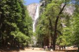 Yosemite_Valley_17_030_06162017 - Context of Yosemite Falls as we made our walk to get closer to its base during our June 2017 visit