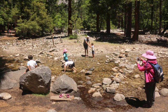 Yosemite_Valley_17_031_06162017 - The kids love playing in the water. But while Yosemite Creek would be very turbulent at the base of the Lower Yosemite Falls, there's plenty of calmer spots where Yosemite Creek is kid-friendly well downstream from the falls