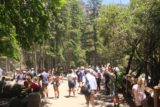 Yosemite_Valley_17_041_06162017 - The large crowd that always seems to be gathered at the base of Lower Yosemite Falls