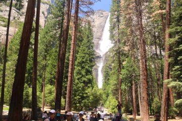 Yosemite_Valley_17_077_06162017