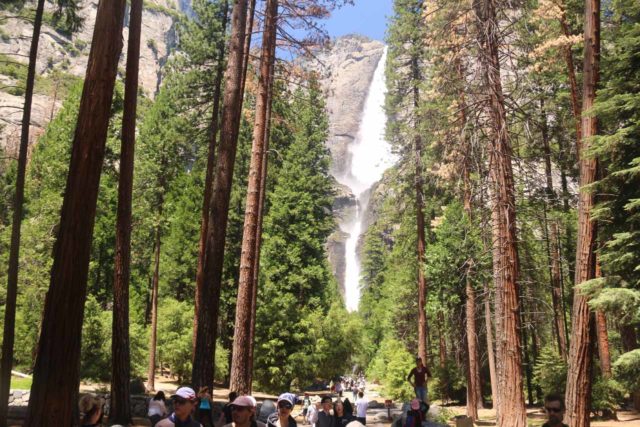 Yosemite_Valley_17_077_06162017 - Approaching the base of Yosemite Falls in 2017.  It's understandable why this path is so busy