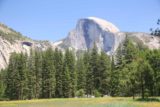 Yosemite_Valley_17_096_06162017 - Checking out Half Dome from Cook Meadow