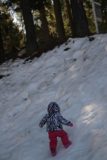 Yosemite_West_064_20130217 - Tahia balancing herself in the snow