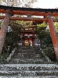 Yoshinoyama_005_jx_04102023.jpeg - Another look up through a torii before the Yoshino Mikumari Jinja Shrine