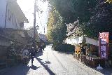 Yoshinoyama_026_04092023 - Going between a few streetside stands in Yoshino Town early in the morning
