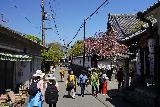Yoshinoyama_155_04092023 - Things are starting to get busier on the main throughfare as we headed back to Yoshino Town