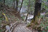 Yudaki_049_04132023 - Descending steps towards the footbridge fronting the Kotaki Waterfall