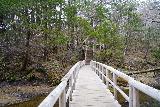 Yudaki_060_04132023 - Looking across the footbridge spanning the Yu River to continue the Kotaki Loop Walk