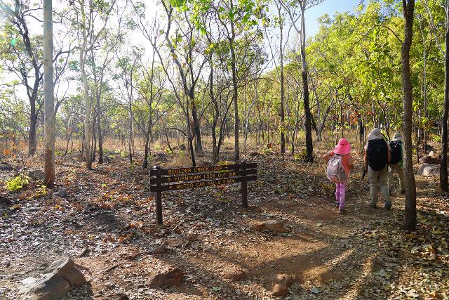 Motor Car Falls - An Accessible Wet Season Waterfall