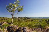 Yurmikmik_078_06142022 - A lone tree growing by the Yurmikmik Lookout panorama