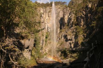Zammer_Lochputz_025_07192018
