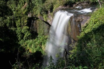 Zillie Falls was another of the trio of waterfalls on the 17km Waterfall Circuit on the looping Theresa Creek Rd.  Julie and I saw this one right after we saw Ellinjaa Falls during...