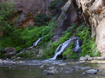 The Zion Narrows Waterfalls are hidden in the famous Zion Narrows. These waterfalls act as both obstacles as well as scenic assets. The only way to see them is through a memorable trek along the...