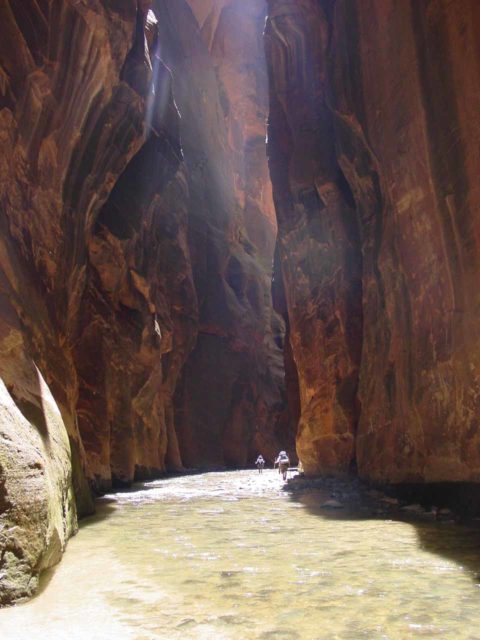 Zion_Narrows_213_06212003 - Wading in the Narrows under towering sandstone cliffs surrounding us. This is the kind of scenery that makes the Narrows the uniquely unforgettable adventure that it's known for