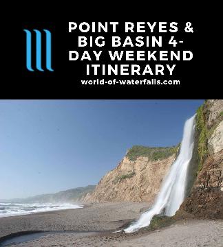 This itinerary covered a return trip to Point Reyes as well as introducing us to the waterfalls at Mt Tamalpais (both north of the city of San Francisco). We also went south and visited the Big Basin Redwoods State Park (southwest of Silicon Valley)...