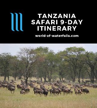 This trip was the second major leg of our epic around-the-world tour that consisted of Eastern Australia as well as selected countries of East Africa. The Africa portion of the trip consisted of a series of tours run by tour operators who each specialized...