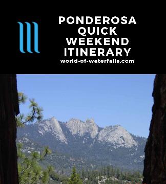 This itinerary concerned a short trip to the Tule River District of the Sequoia National Forest.  Since we were staying in a town called Ponderosa, I tend to refer to this trap as the 
