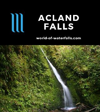 Acland Falls is an intimate 14m waterfall at the head of a secluded gorge in the lush Peel Forest (Tarahaoa) near Geraldine reached by a 1-hour return walk.