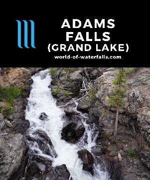 Adams Falls is a tumbling cascade near Grand Lake. It's one of the few short waterfall hikes west of the Continental Divide in Rocky Mountain National Park.