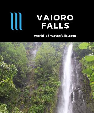 'Vaioro Falls' is the other of two notable waterfalls backing the town of Afareaitu on the southeast coast of Moorea Island. Like the 