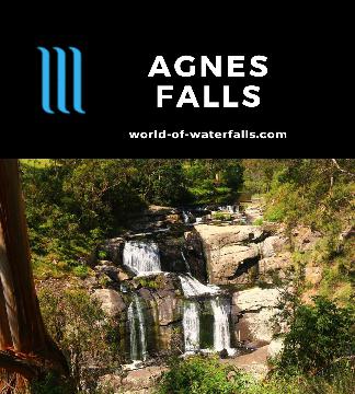 Agnes Falls is a 59m waterfall on the Agnes River dropping over several tiers visible from a lookout accessed on a short walk in South Gippsland near Toora.