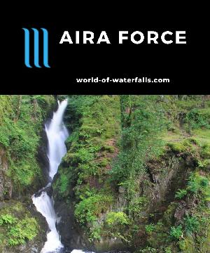 Aira Force is a 20m waterfall that we experienced with a pleasant and popular hour-long loop hike in the Lake District of Northern England near Ullswater.