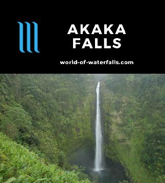 Akaka Falls is a 420-442ft waterfall north of Hilo on the Hamakua Coast in its own state park. It's accessed by a short trail that also includes Kahuna Falls.