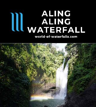 Aling Aling Waterfall is the largest of four waterfalls in the same excursion, but it's this main falls that drew us to the excursion in the first place.