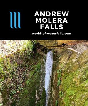Andrew Molera Falls was a hidden waterfall in Big Sur nearly reclaimed by Mother Nature as I needed a lot of route-finding persistence to finally find it.