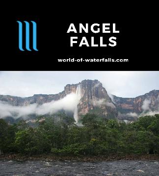 Angel Falls (Kerepakupai-merú) is the consensus tallest waterfall in the world at 979m, but to reach this waterfall, we needed to go an a rainforest adventure.