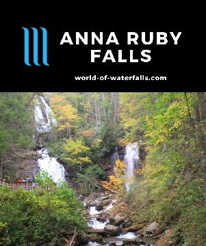 Anna Ruby Falls is a twin waterfall where Smith Creek and York Creek drop 153ft and 50ft, respectively, easily experienced on a short walk near Helen, Georgia.