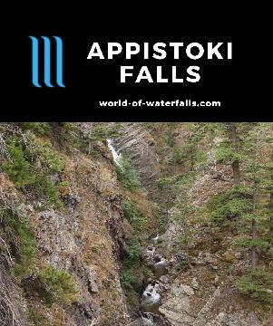 Appistoki Falls is a hard-to-see waterfall along a 1.2-mile round-trip uphill trail flanked by huckleberries in Two Medicine Valley of Glacier National Park.