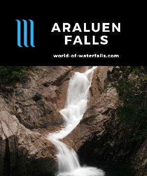 Araluen Falls (or Araluen Cascade) is a 10-15m cascade on Finch-Hatton Creek in Eungella National Park's humid rainforest en route to the Wheel of Fire Falls.