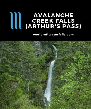 Avalanche Creek Falls is a side waterfall visible in Arthur's Pass Village, but it's really my waterfalling excuse to talk about the Avalanche Peak Track.