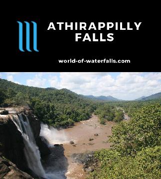 Athirappilly Falls is a 24m waterfall on the Chalakudy River that's the largest waterfall in Kerala, which we visited from its top, bottom, and from a resort.