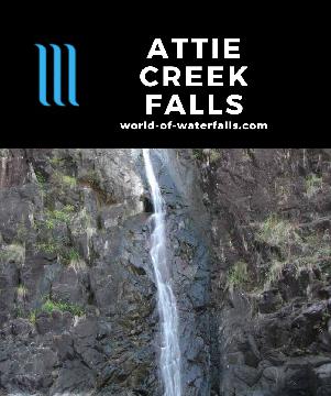 Attie Creek Falls is a 25m multi-drop waterfall reached on a 500m walk to the base of its main drop, which we accessed behind the mud crab town of Cardwell.