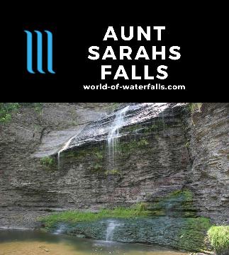 Aunt Sarahs Falls was a struggling 90ft waterfall when I made a visit in mid-June. Sitting near Montour Falls, it would spray the road two months earlier.