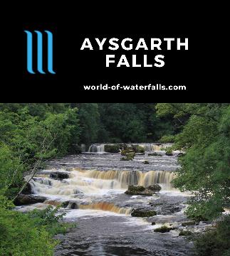 Aysgarth Falls is a series of three waterfalls on the River Ure all accessed by an easy hike in the rolling hills of Yorkshire Dales National Park in England.