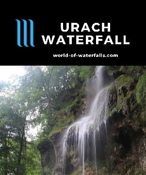 Urach Waterfall is a 37m limestone falls on the Brühlbach where a popular and family-friendly walk followed this gentle stream near Bad Urach, Germany.
