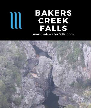 Bakers Creek Falls is a series of cascades in a deep gorge on a short detour off the Armidale-Dorrigo Road (Waterfall Way) that didn't do so well on our visit.