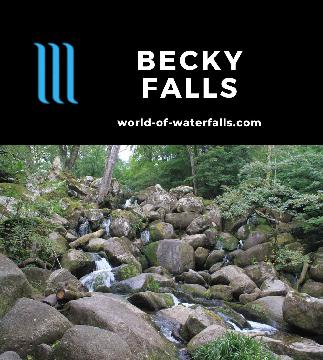 Becky Falls is a pair of bouldery waterfalls dropping a cumulative 20m on the Becka Brook through an ancient woodland of Dartmoor in  England's southwest.